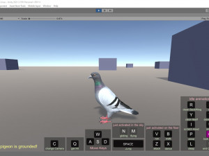 Realistic Animated Rock Pigeon 3D Model