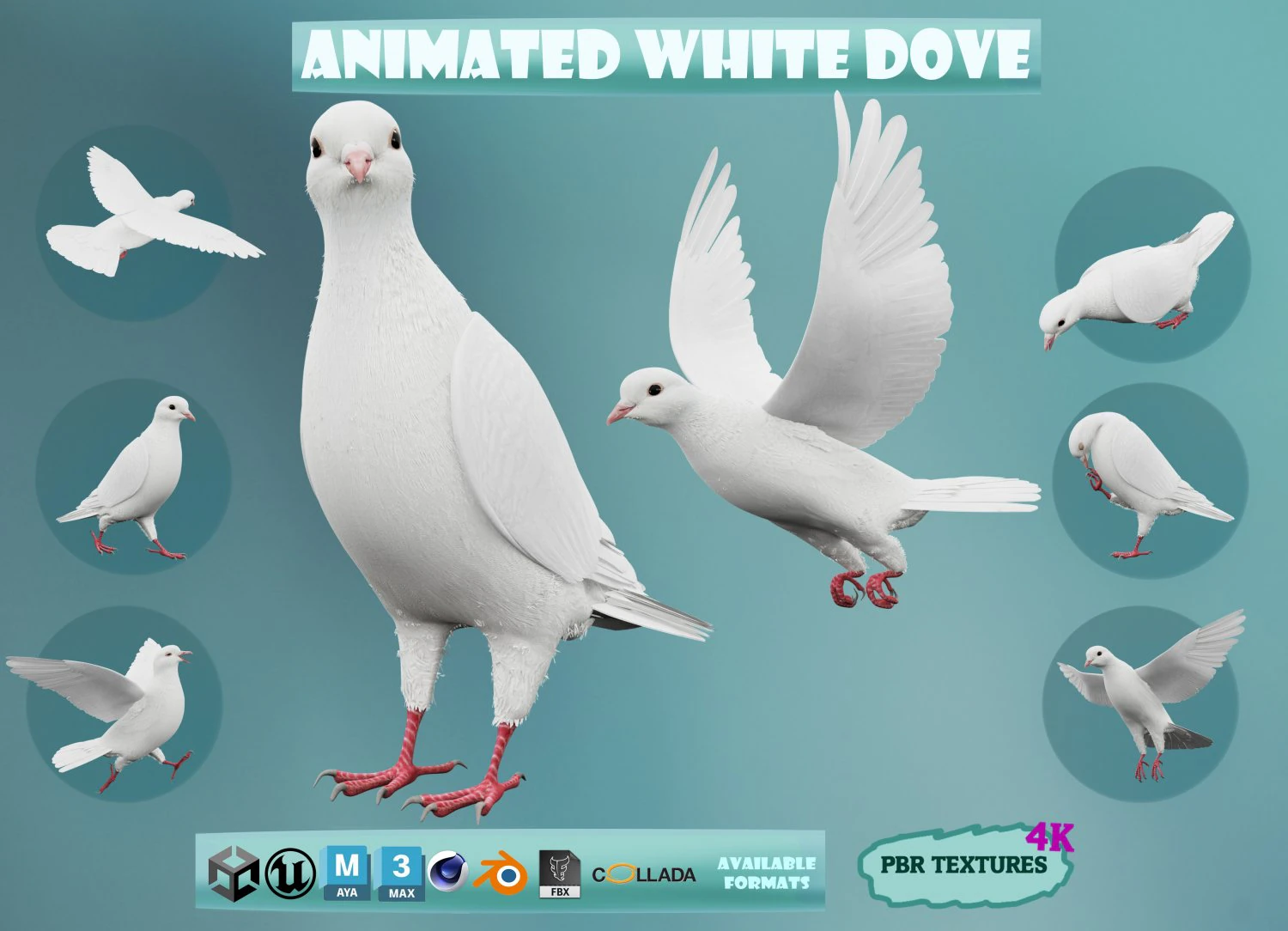 Realistic Animated White Dove Low-poly 3D Model .c4d .max .obj .3ds .fbx .stl .blend 