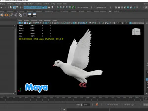 Realistic Animated White Dove Low-poly 3D Model