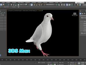 Realistic Animated White Dove Low-poly Modelo 3D