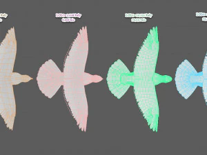 Realistic Animated White Dove Low-poly 3D Model