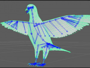 Realistic Animated White Dove Low-poly Modelo 3D