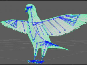 Realistic Animated White Dove Low-poly 3D Model