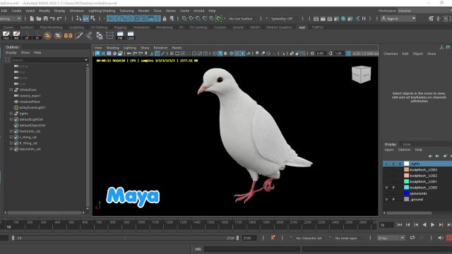 Realistic Animated White Dove Low-Poly 3D Модель In Птица 3DExport