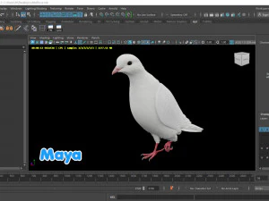Realistic Animated White Dove Low-poly 3D Model