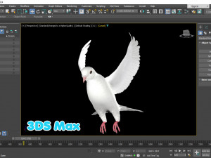 Realistic Animated White Dove Low-poly Modelo 3D