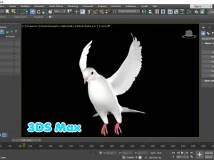 Realistic Animated White Dove Low-poly 3D Model