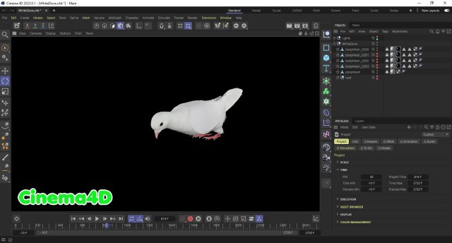Realistic Animated White Dove Low-Poly 3D Модель In Птица 3DExport