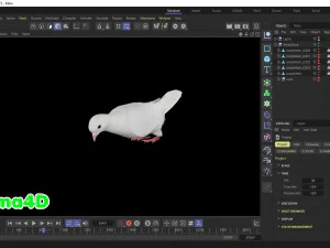 Realistic Animated White Dove Low-poly 3D Model