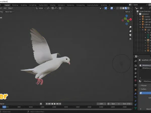 Realistic Animated White Dove Low-poly 3D Model