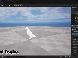 Realistic Animated White Dove Low-poly 3D Model