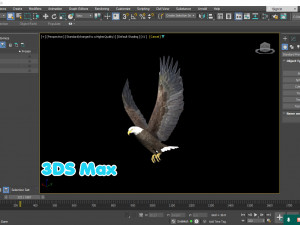 Realistic Animated Bald Eagle Modello 3D