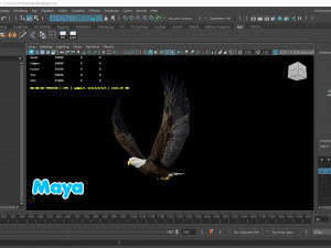 Realistic Animated Bald Eagle Modello 3D