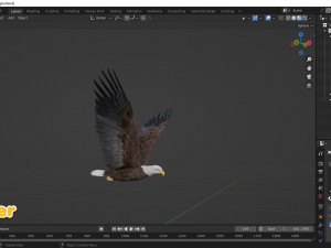 Realistic Animated Bald Eagle Modello 3D