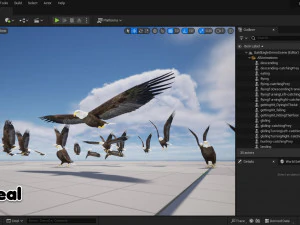 Aquila calva animata realistica Modello 3D