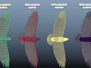 Aquila calva animata realistica Modello 3D