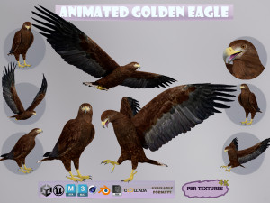 Realistic Animated Golden Eagle 3D-Modell