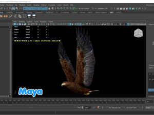 Realistic Animated Golden Eagle 3D Model