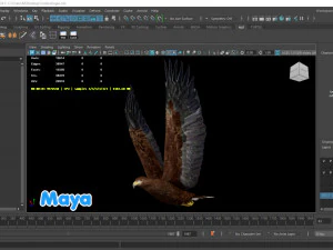 Realistic Animated Golden Eagle 3D Model
