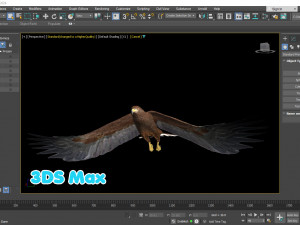 Realistic Animated Golden Eagle 3D Model