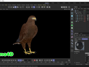 Realistic Animated Golden Eagle 3D Model