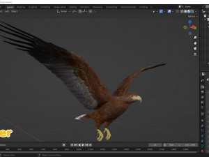 Realistic Animated Golden Eagle 3D Model