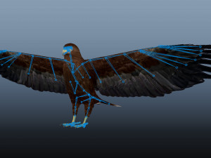 Realistic Animated Golden Eagle 3D Model