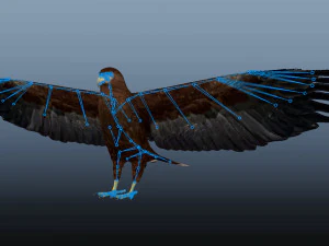 Realistic Animated Golden Eagle 3D Model