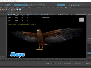 Realistic Animated Golden Eagle 3D Model