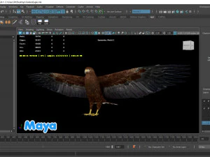 Realistic Animated Golden Eagle 3D Model