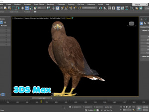 Realistic Animated Golden Eagle 3D Model