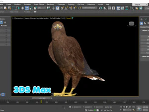 Realistic Animated Golden Eagle 3D Model