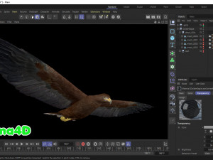 Realistic Animated Golden Eagle 3D Model