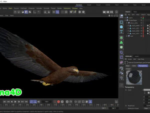 Realistic Animated Golden Eagle 3D Model