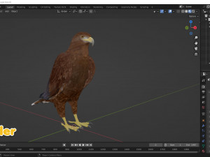 Realistic Animated Golden Eagle 3D Model