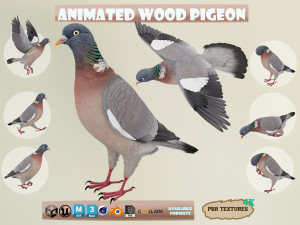 Realistic Animated Wood Pigeon 3D-Modell