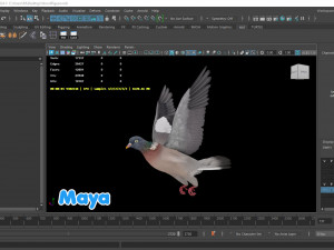 Realistic Animated Wood Pigeon Modello 3D