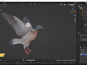 Realistic Animated Wood Pigeon Modello 3D