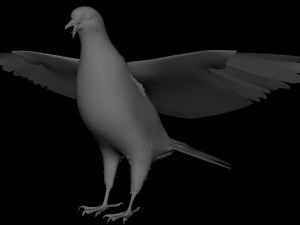 Realistic Animated Wood Pigeon Modello 3D