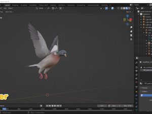 Realistic Animated Wood Pigeon Modello 3D