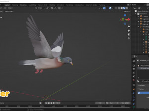 Realistic Animated Wood Pigeon Modello 3D