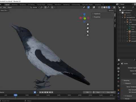 Realistic Animated Hooded Crow 3D Model