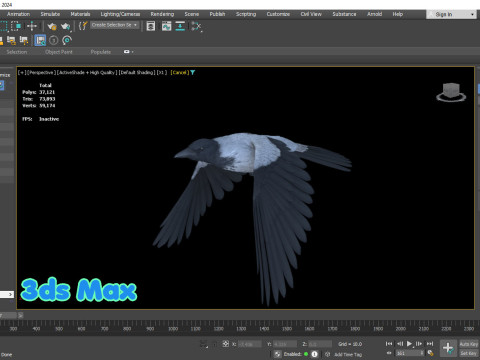 Realistic Animated Hooded Crow 3D Model