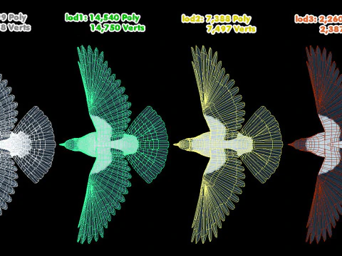 Corvo dal cappuccio animato realistico Modello 3D