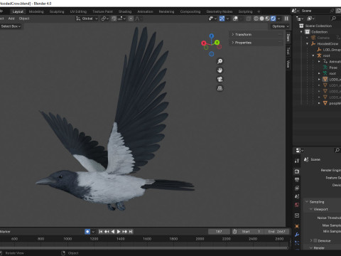 Realistic Animated Hooded Crow 3D Model