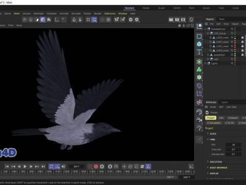 Realistic Animated Hooded Crow 3D Model