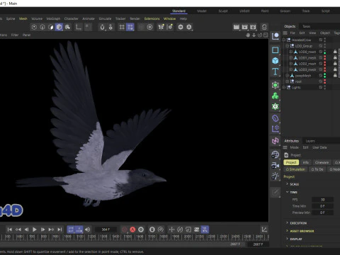 Corvo dal cappuccio animato realistico Modello 3D