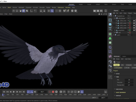 Realistic Animated Hooded Crow 3D Model