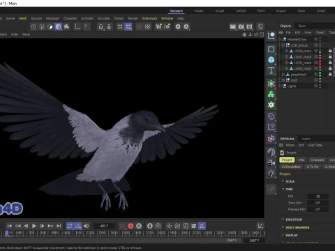 Corvo dal cappuccio animato realistico Modello 3D