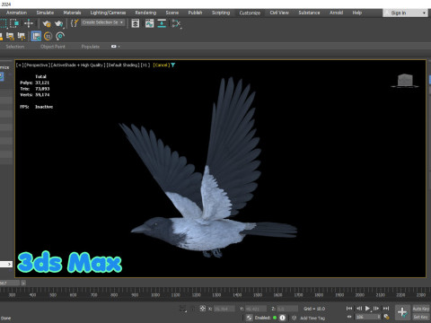 Realistic Animated Hooded Crow 3D Model